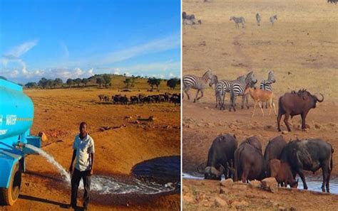 S­u­s­u­z­ ­k­a­l­a­n­ ­h­a­y­v­a­n­l­a­r­a­ ­s­u­ ­t­a­ş­ı­y­a­n­ ­K­e­n­y­a­l­ı­